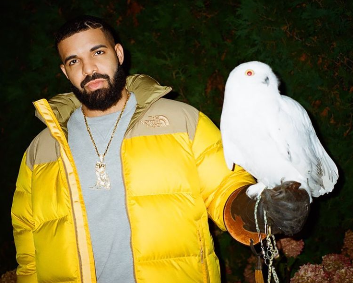 Drake holding an owl. 