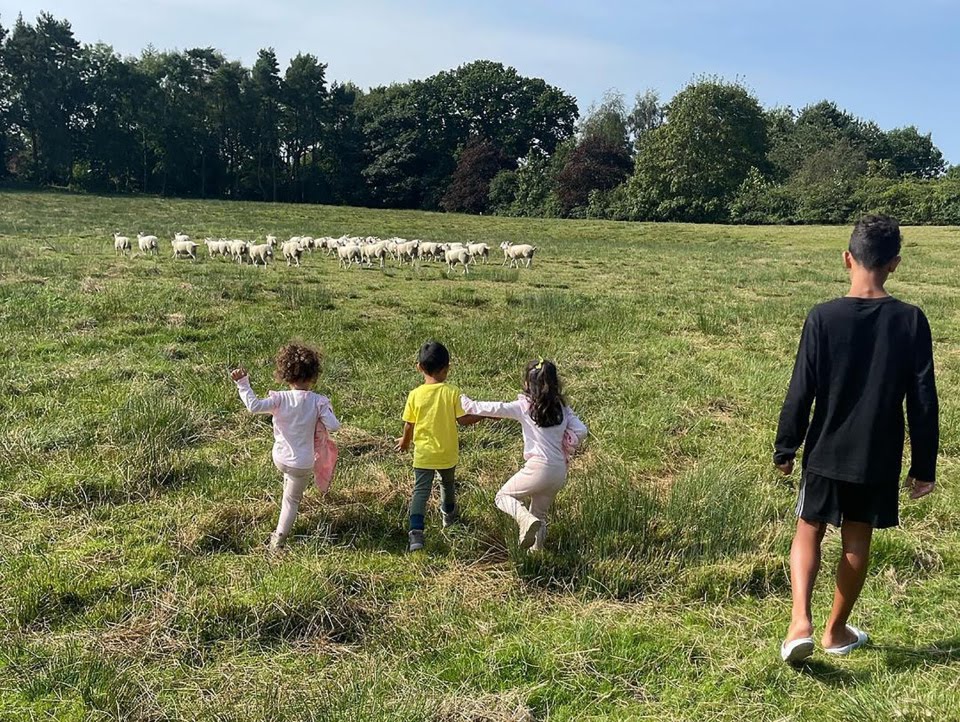 Cristiano Ronaldo's four children playing on the field in the former mansion. 