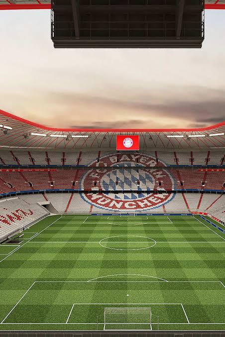 Best football pitch designs in Bundesliga